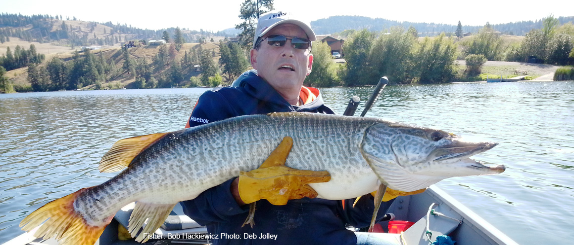 Fisher holding Tiger Muskie is: Bob Hackiewicz Photo: Deb Jolley 