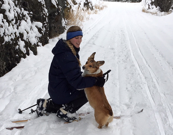 Christine Hall, with her corgi Darcy cross-country skiing along the rail trail. Photo: Kelley Shelton 