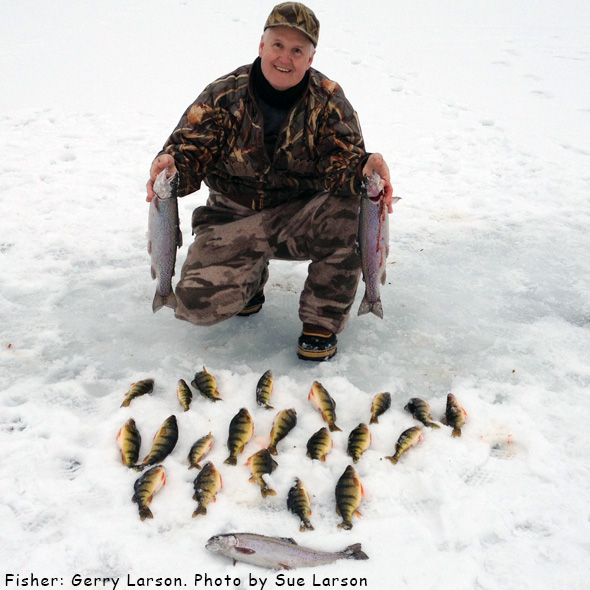 Fisher Gerry Larson displays impressive catch of rainbow trout and yellow perch caught on Curlew lake, WA. Photo: Sue Larson