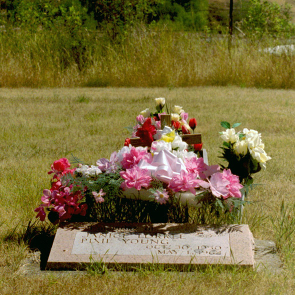 Flowers of pink, red, and yellow grace a headstone.