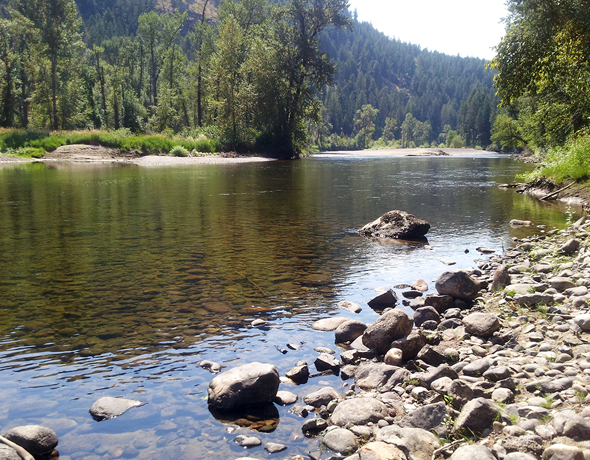 Barrels wend their way along bends such as this one on the Kettle River north of Curlew, Wa
