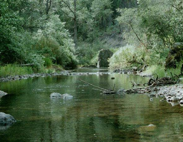 The San Poil River where it flows through Ten Mile Campground. 