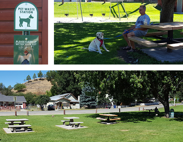 Top left: Dog waste station. Top Right: Man and dog rest on tree-shaded bench. Bottom: Four picnic benches on green grass.