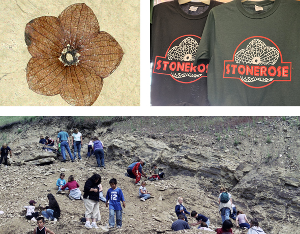 Top left: Stonerose Interpretive Center’s world famous “rose” fossil. Top right: Closeup of Stonerose logo on sweatshirt. Bottom: Fossil hunters at Boothill Fossil site in Republic, WA